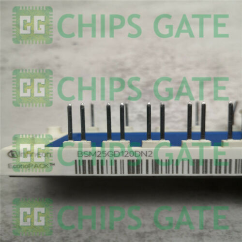 BSM25GD120DN2